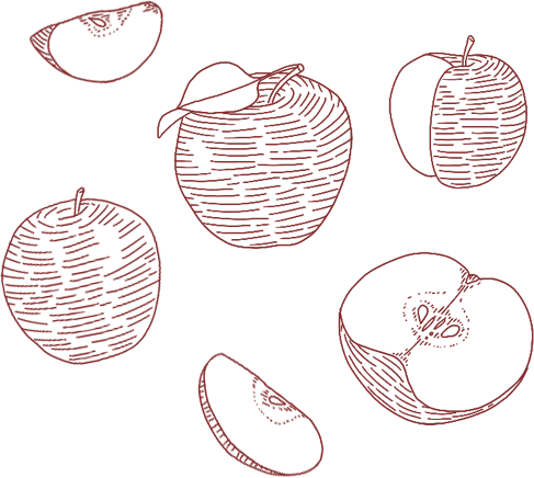Hand drawn fruit illustrations